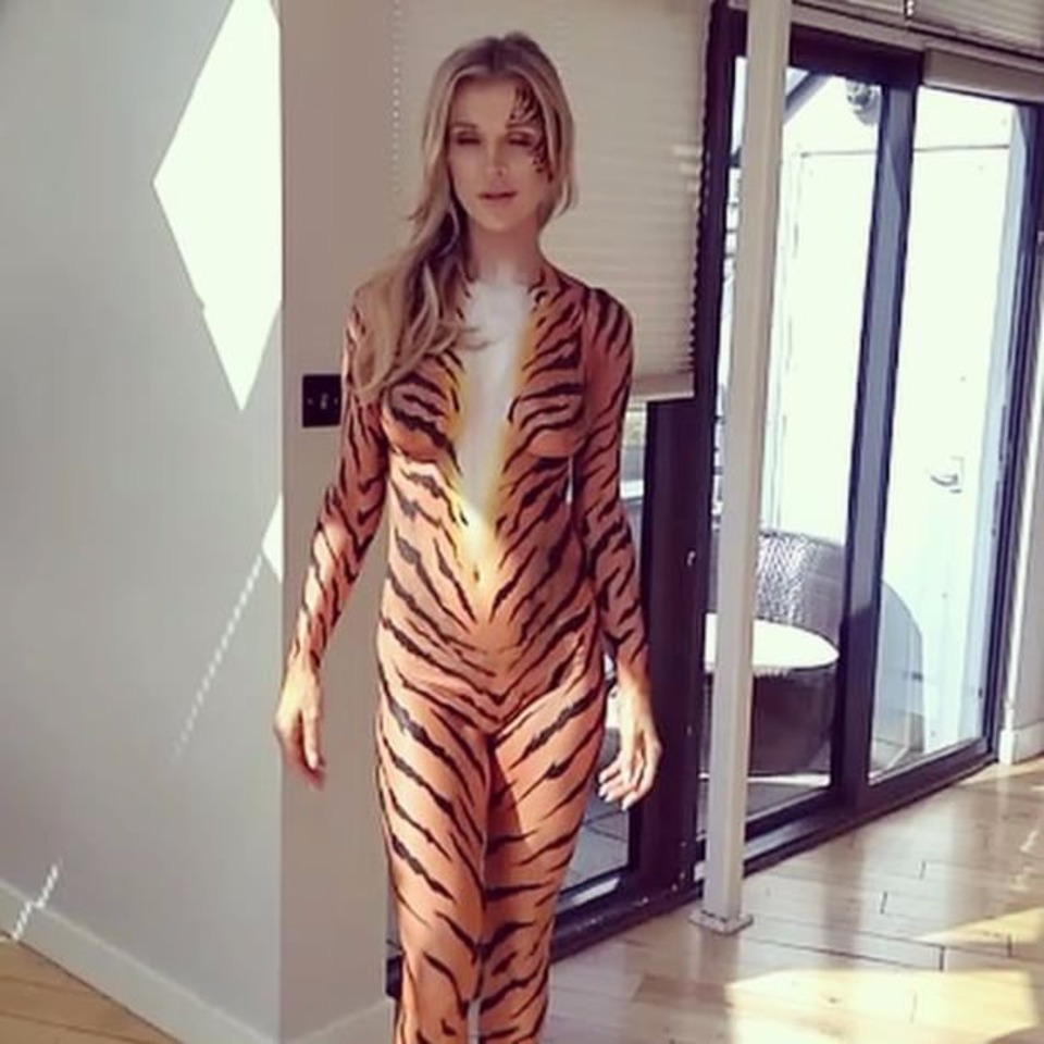 Sexy Joanna Krupa