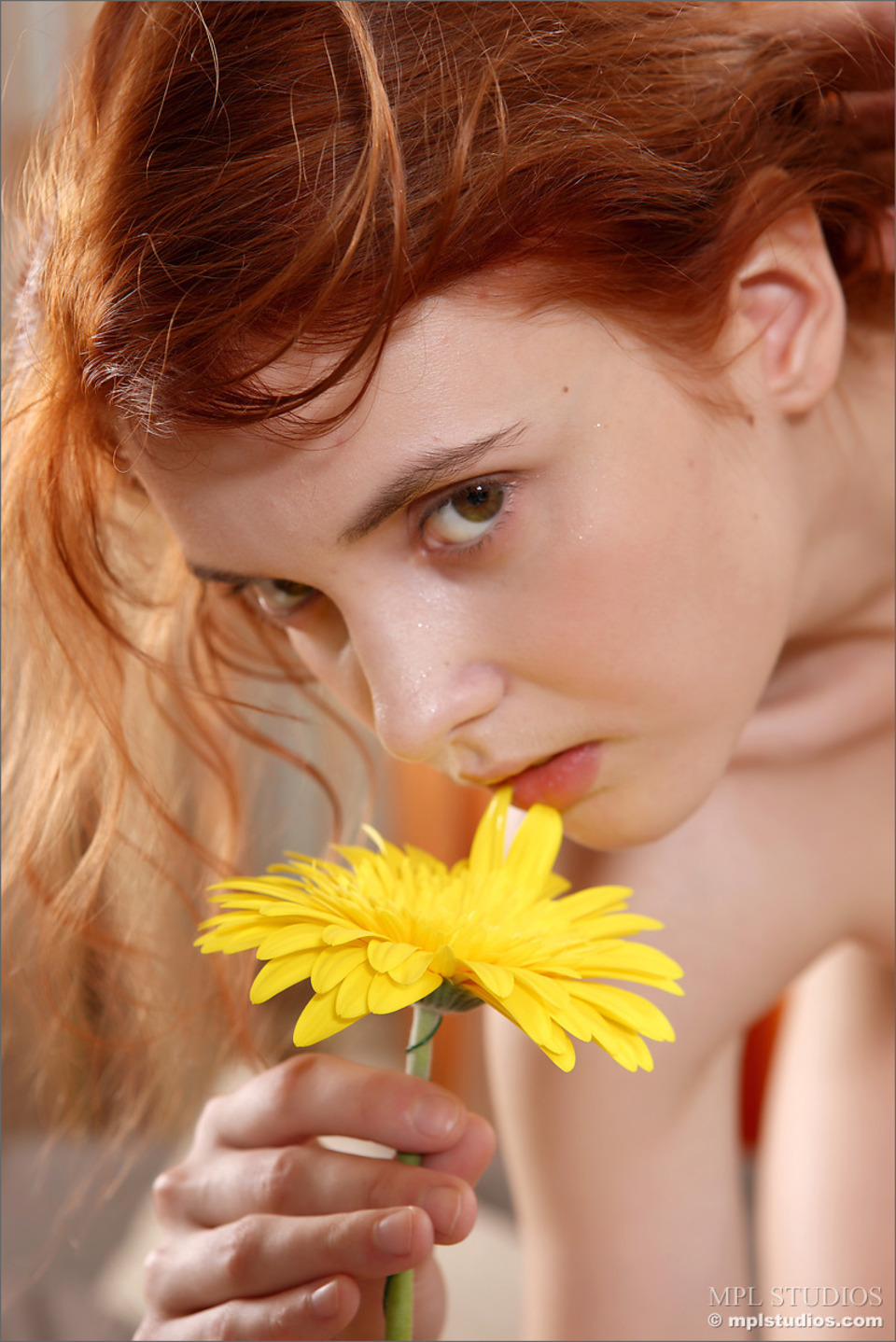 Of gingers and flowers