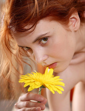 Of gingers and flowers 07