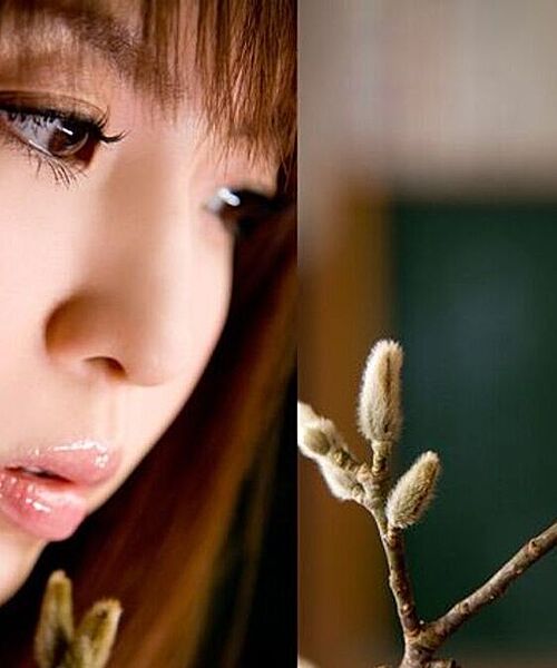 Aya Nakata 13
