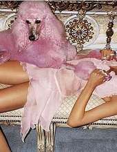 Nicole Trunfio 10