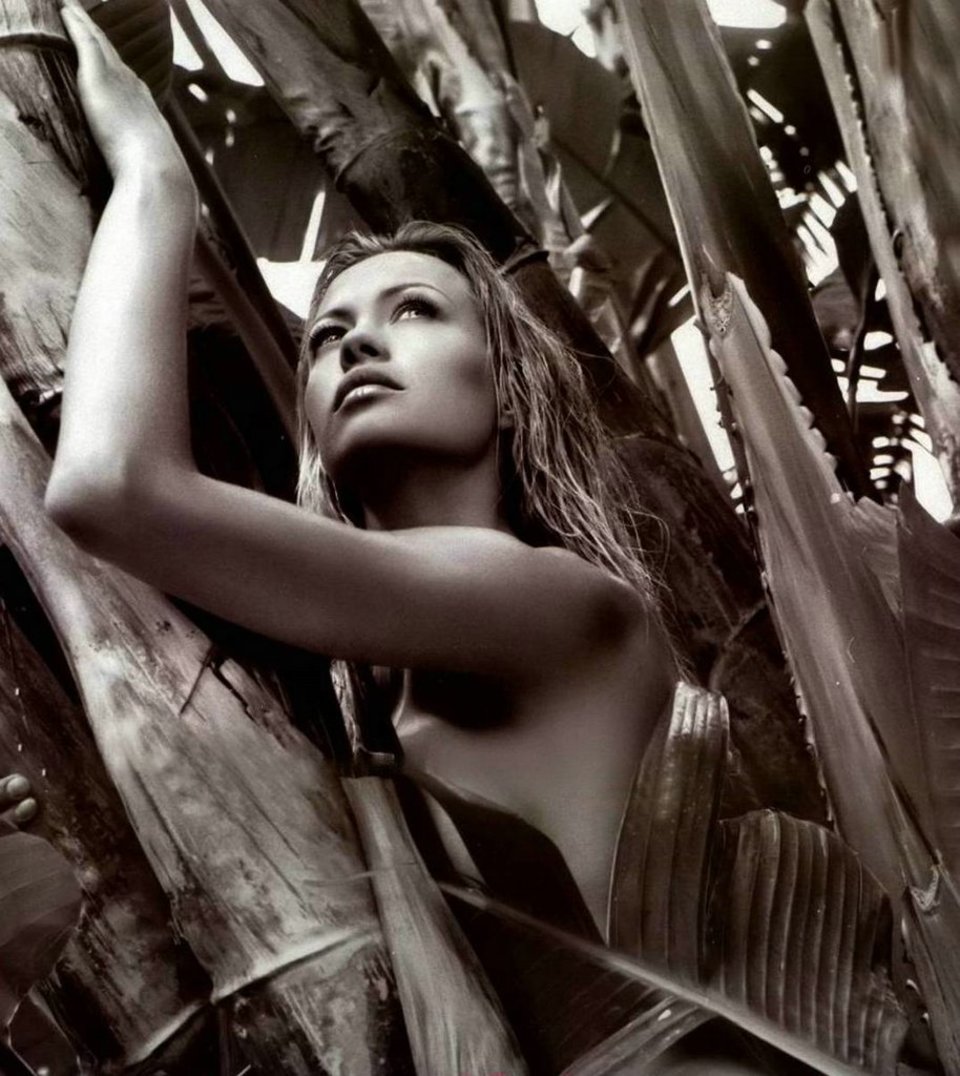 Anna Falchi