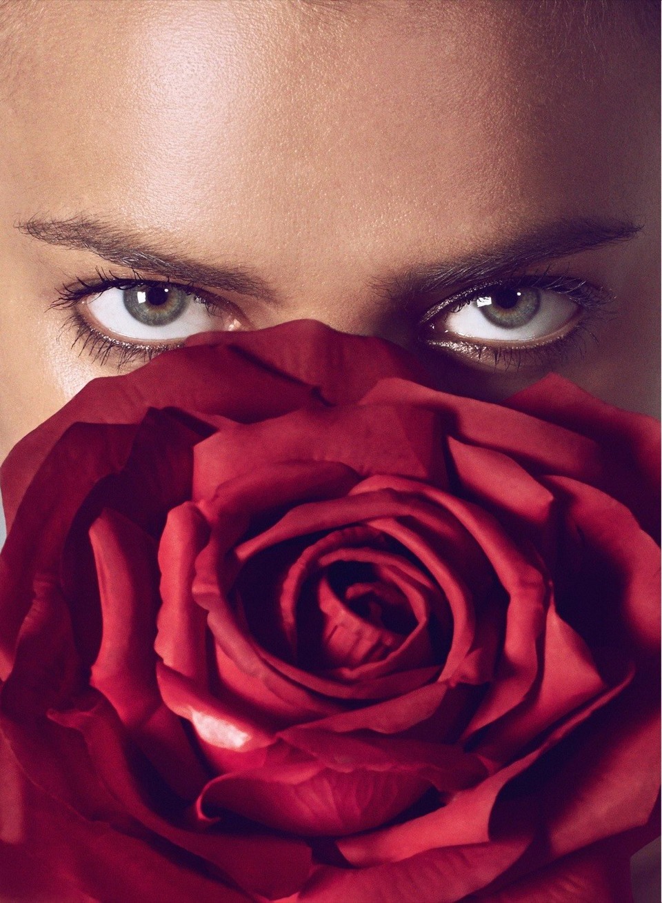 Red Rose of Irina