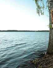 Birche 06