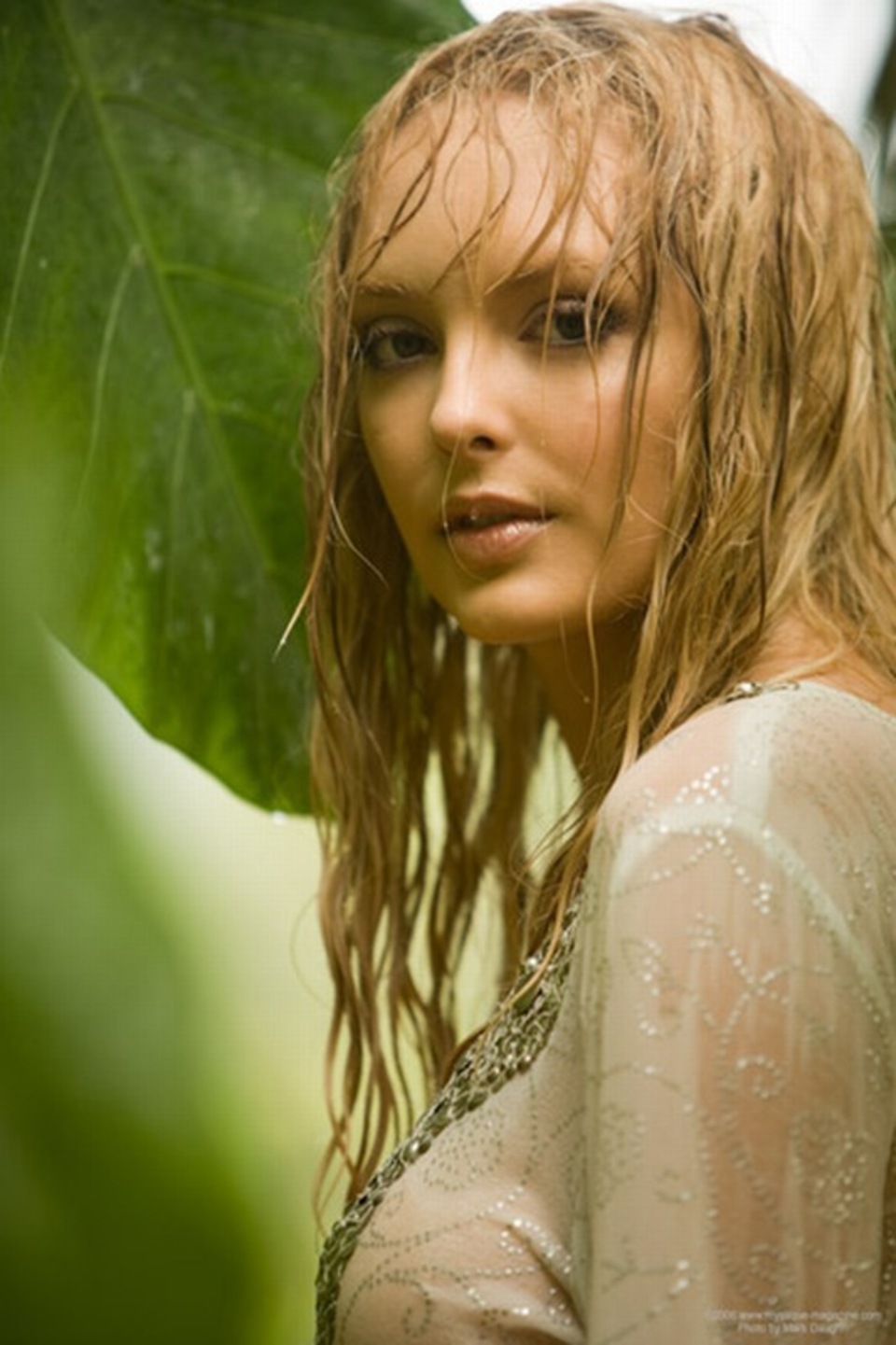 Shera Bechard