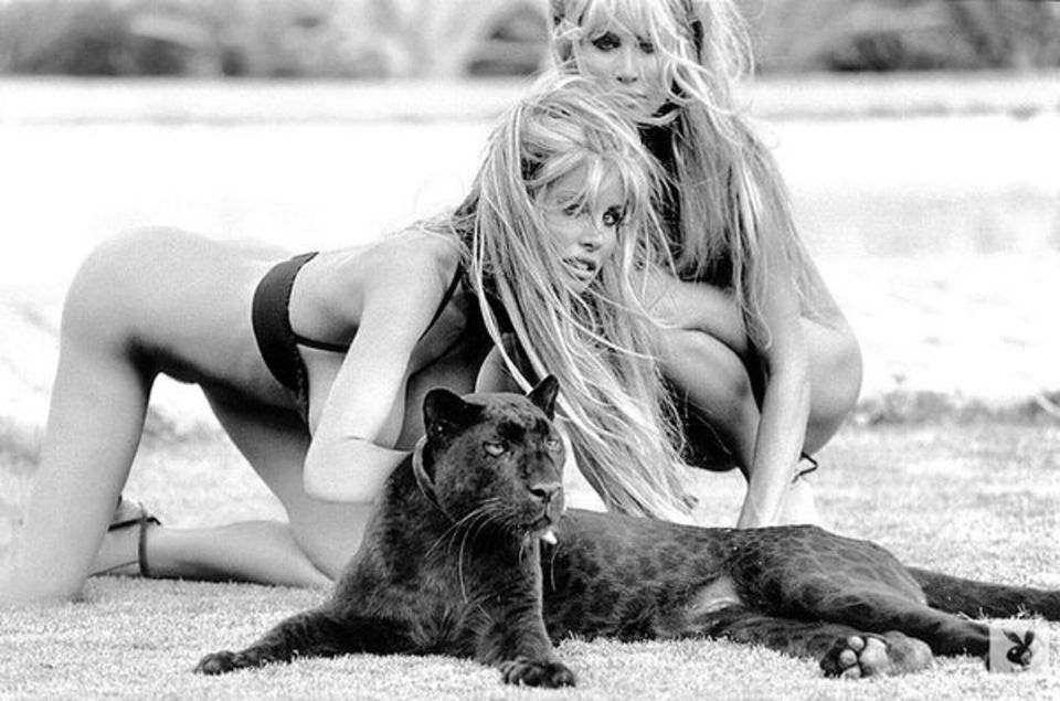 Barbi Twins