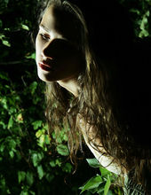 Night lily 06