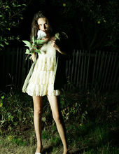 Night lily 11